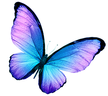 small butterfly